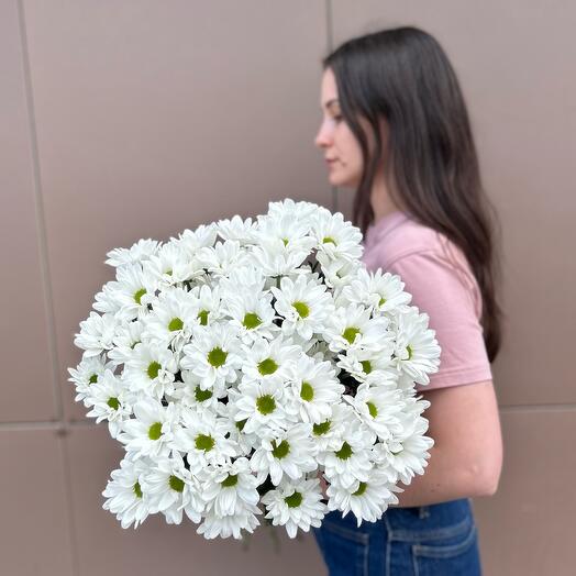 Хризантема Кустовая 9 шт