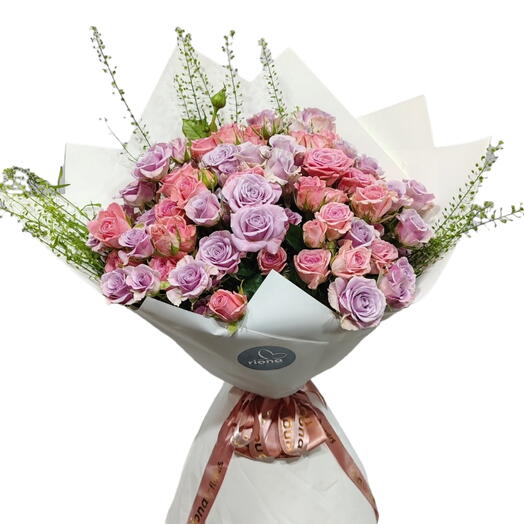Lorette Pink