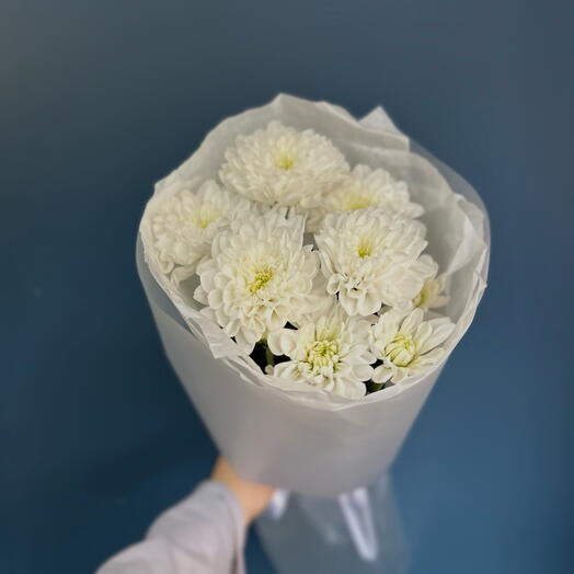 Bush chrysanthemum | bouquet