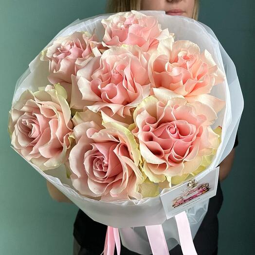 Rosas tiernas. Rosa Francesa