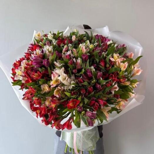 Bouquet of 101 alstroemeria "Mania"