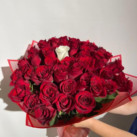 Rosas "Freedom"