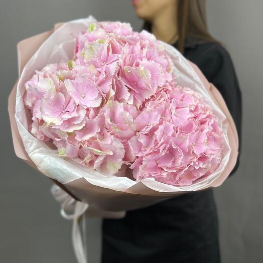 Hydrangea Delight