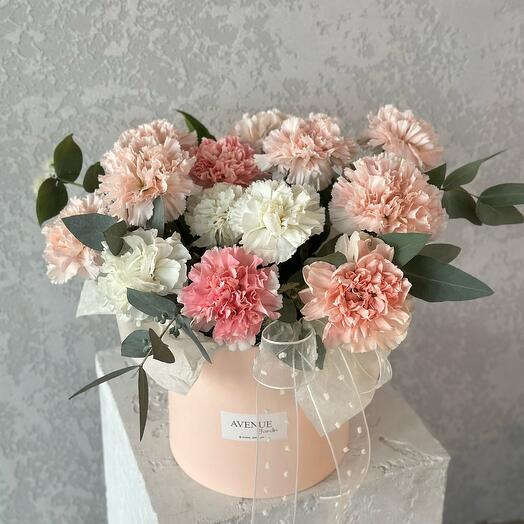 Gentle Persistent Carnations