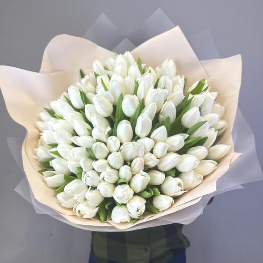 101 белый тюльпан в упаковке
