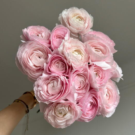 Ranunculus pink 15 stems