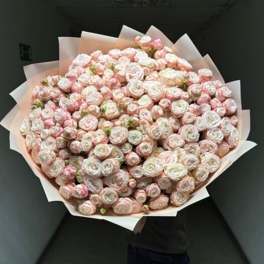 Кустовая роза пионовидная