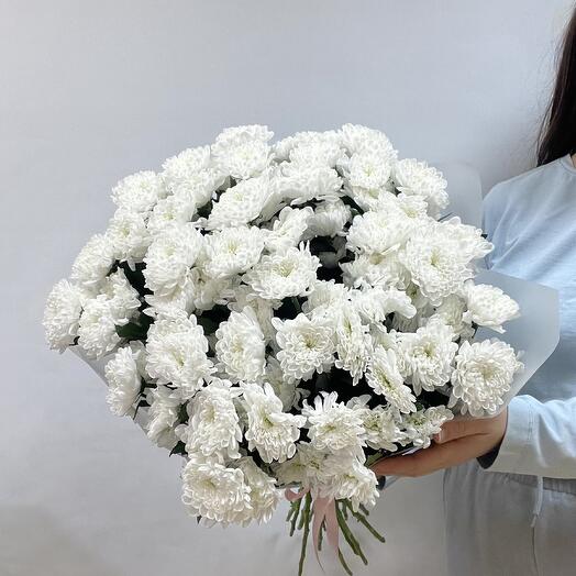 15 веток хризантемы Алтай