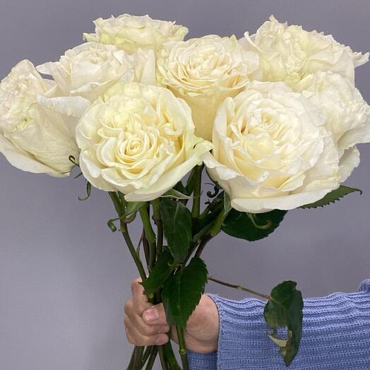 Rosas blancas 9 piezas