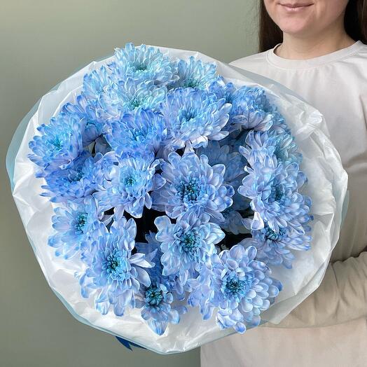 5 голубых хризантем💙💙💙