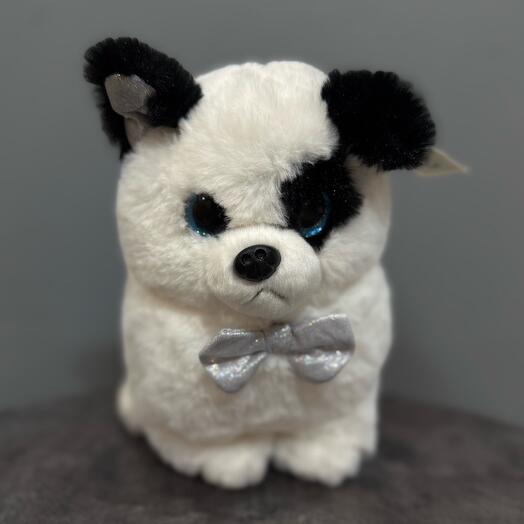 Песик с бабочкой