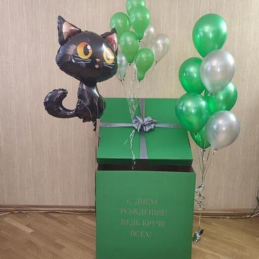 Зелёная коробка с котом