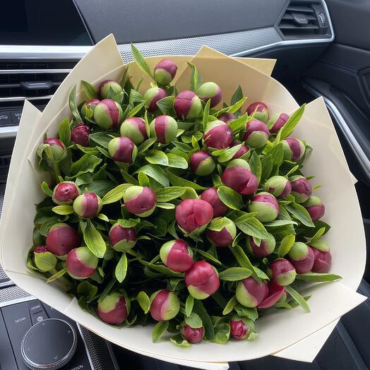 57 пионов