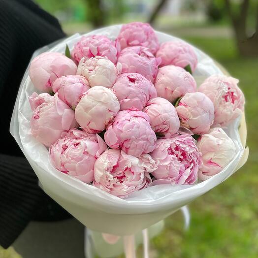 Ароматные пионы Сара Бернар (19 шт)