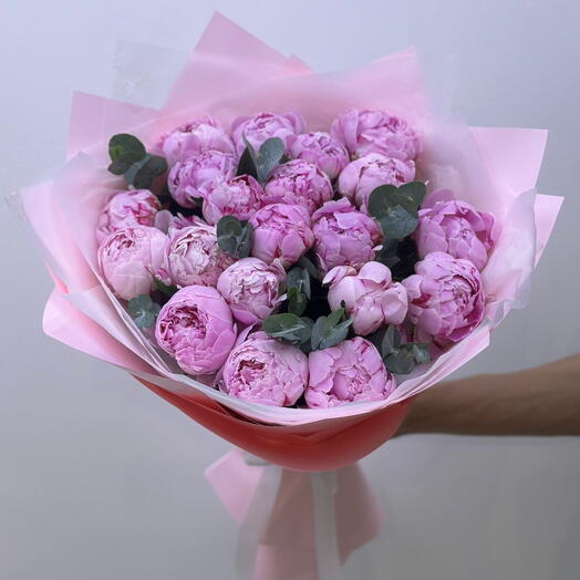 Голландские пионы