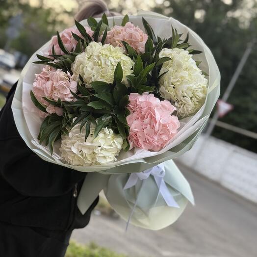 Гортензии 7 микс