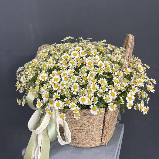 Корзина с ромашками для любимой