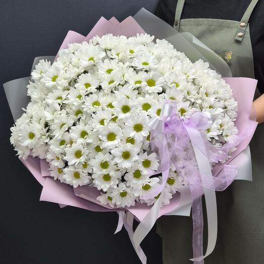 Букет из 25 кустовых хризантем (16.0)