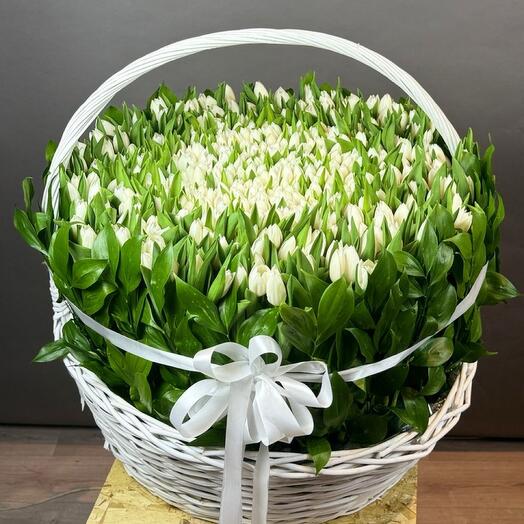 Корзина из белых тюльпанов с рускусом