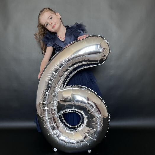 Цифра 6 Серебро