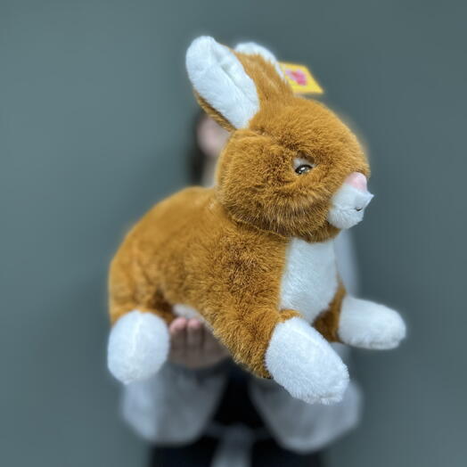 Коричневый кролик 🐇