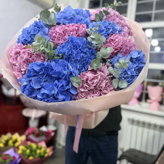 Шикарные гортензии