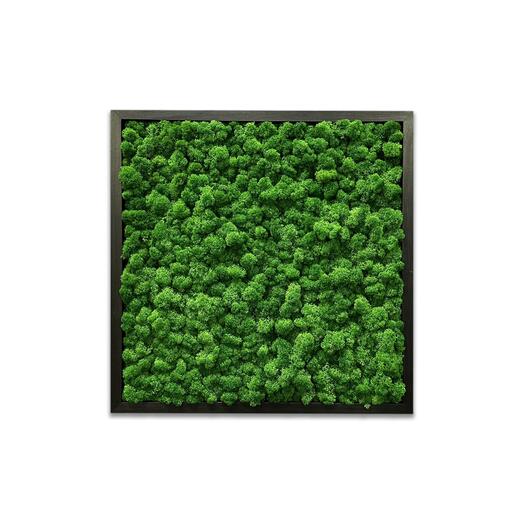 Картина "Green Forest" в подарочной упаковке, 50*50 см