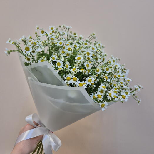 Букет из белых ромашек (танацетум)
