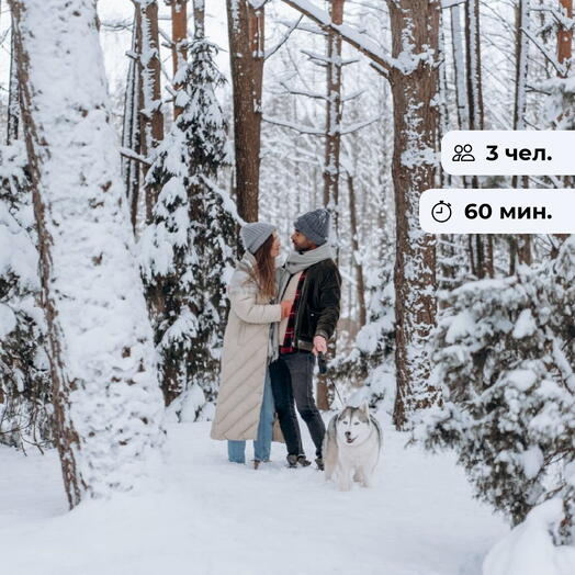 В фокусе. Фотосессия с Хаски на природе
