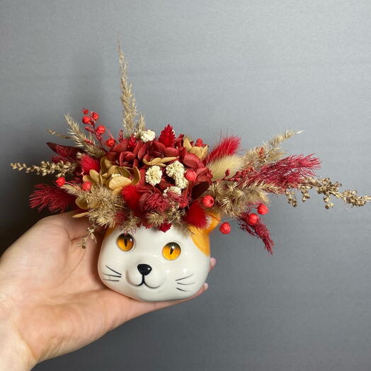 Композиция "Котик" Из сухоцветов и стабилизированных растений в красно-коричневых тонах