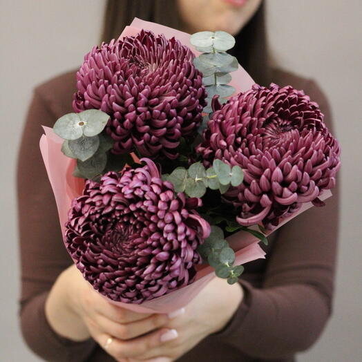 Букет из 3 крупных винных хризантем с эвкалиптом