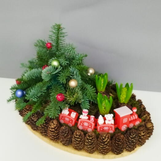 Гиацинты в  композиции с ёлочкой