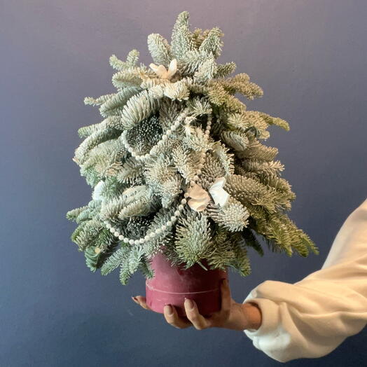 Заснеженная елка из нобилиса с жемчугом