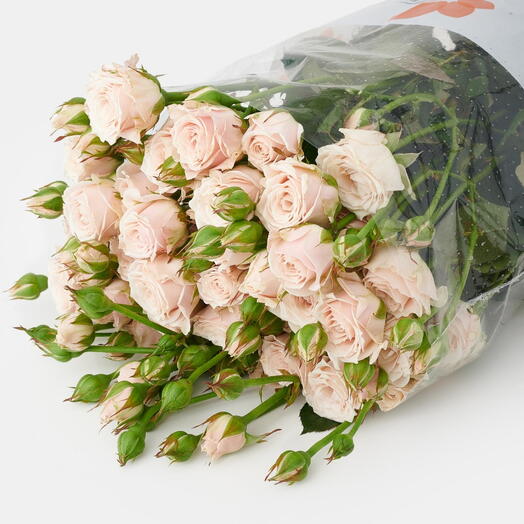 Пачка роз (10 штук) Свит Фортун, 50 см