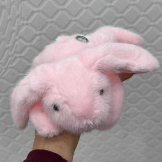 Қызғылт қояншық