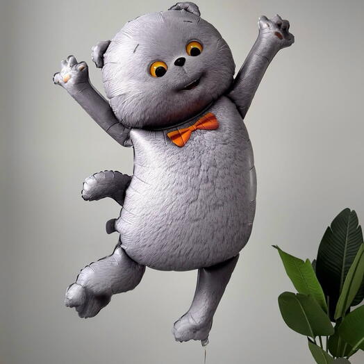 Кот Басик