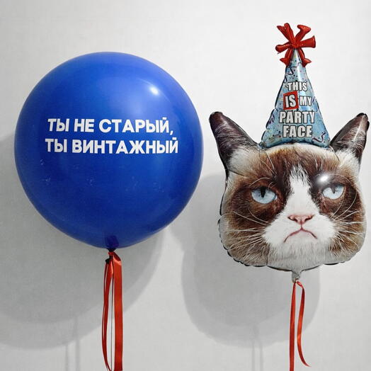 Сет из шаров «Винтажный кот»