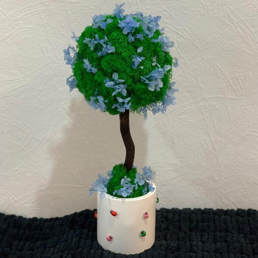 Топиарий-эко-дерево из мха с гортензией