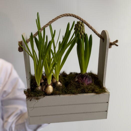 Ароматные первоцветы в деревянном ящике