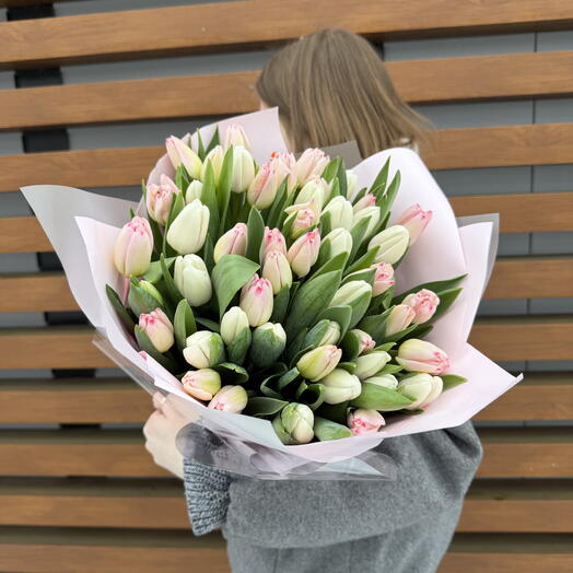 Бело-розовые тюльпаны 51