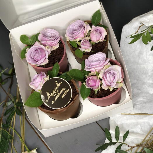 Десерты "Цветы в горшочке"