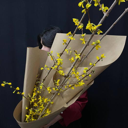 Букет из цветущих веток форзиции (3 ветки)