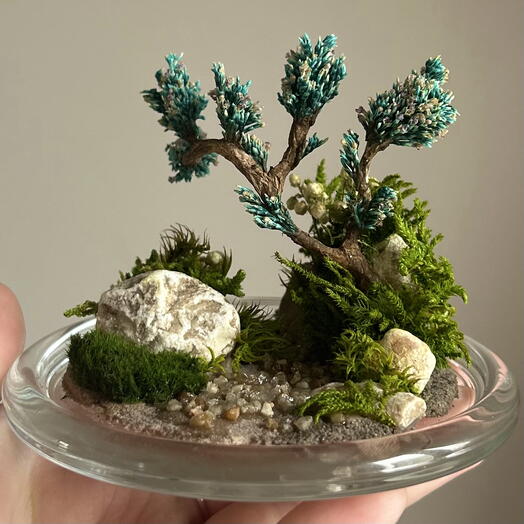 Моссариум (мохариум) "Японский сад в миниатюре" с деревом