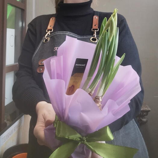 Нарцисс жёлтый в горшке