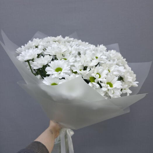 Букет Ромашек 9