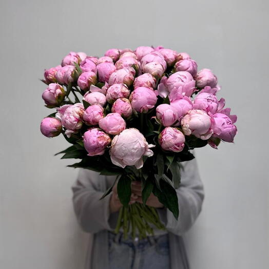 Розовая легенда 🌸 премиум пионы
