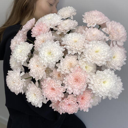 Охапка из 7 нежно-розовых кустовых хризантем под ленту🎀 Bloom room: большой выбор букетов в профиле магазина