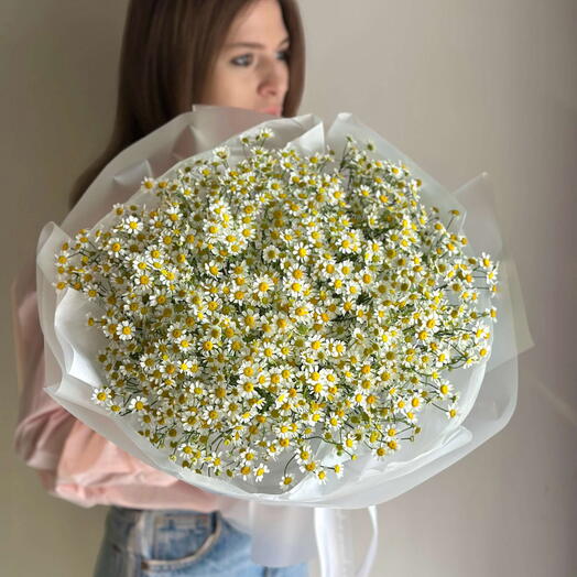 Солнечный полевой букет кустовых ромашек