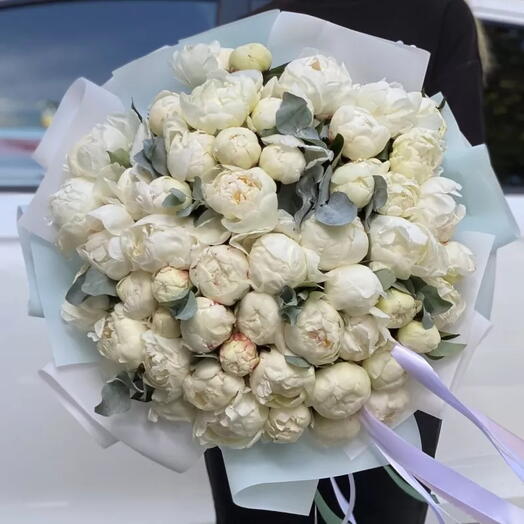 ПИОНОМАНИЯ 🤍51 белый пион 😍Белые пионы