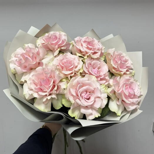 Французские розы😍🌼